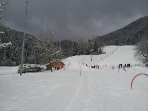 Smučišče Luče